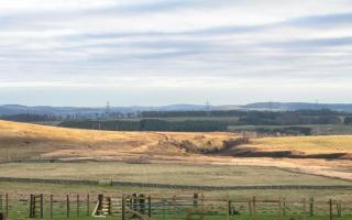 Little Dod Barn - Ilderton - 3