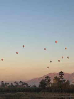 Nile Spirit Apt 2 - 1