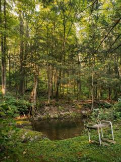 Gunn Brook Mountain House - 3
