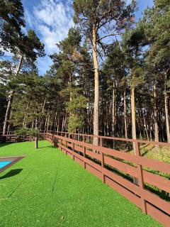 ProLes Burabay Eco Hotel - Borovoye - 5