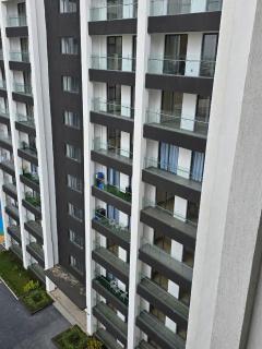 Reily Luxury Homes - 2