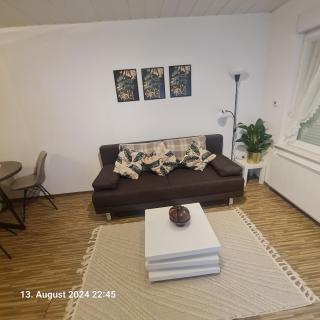 Comfortable Apartment - 8