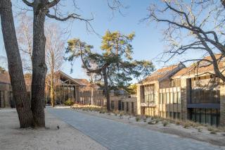 Golden Dunes & SPA - Nida - 4