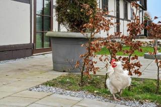 M367-Vaeggerlose-Marrebaek-Skovvej-4 - 9