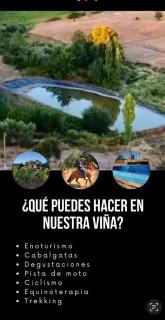 Red Blood Vineyard - Chillán - 0