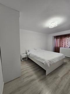 Apartament confortabil, ideal pt 2 adulti si 2 copii sau 3 adulti - 2
