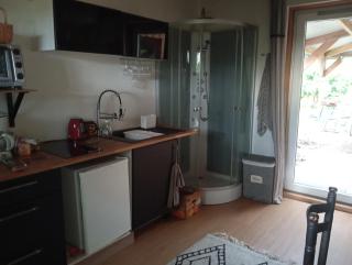 Le voyage de la salamandre - 4