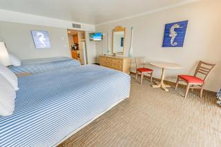 Direct Oceanfront - Heated Pools! New Ocean Reef - 8