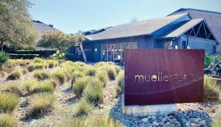 Mueller Flats 1508 I Spacious 1 Bed 1 Bath - 3