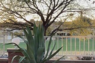 Solstice Sanctuary - Tucson - 2