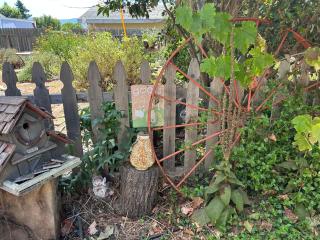 Garden Studio - 3