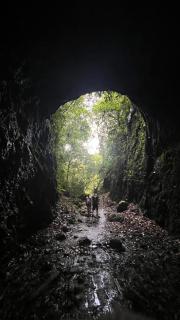 La casa de Tikal - 4