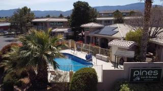 Pines Inn & Suites - 9