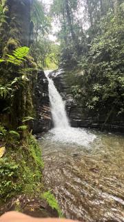 La casa de Tikal - 6