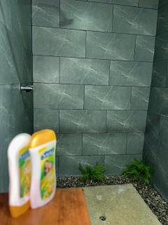 Corcovado House With Pool - 4