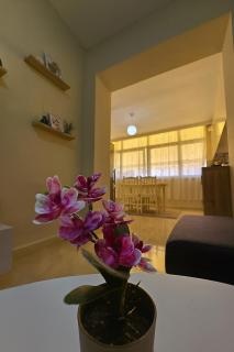 Bellis Tirana Center Apartment 2 - 4
