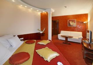 Spa & Wellness Hotel Olympia Marienbad - Mariánské Lázně - 8