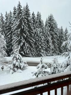 Chalet des Hautes Côtes - 7