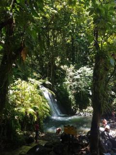 Le Jardin aux Oiseaux - 2