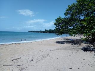Le Jardin aux Oiseaux - 1