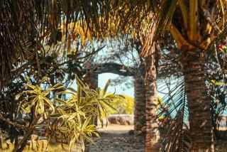 pantai wane - Rancakole - 3