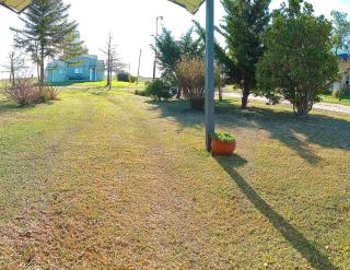 Los pinos GRANDE - 1