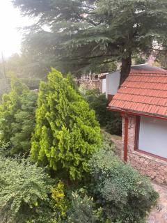 Ashram Asociación Argentina de Yoga - 9