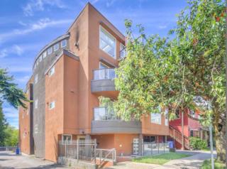 Boutique Beach Apartment - 4