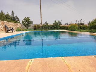 Tazouta Farm Villa with Private Pool & Mountain Views - 2