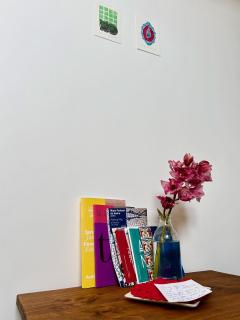 Carioquinha Studio - 2