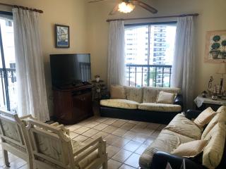 Comfortable apartment on Pitangueiras Beach - 0