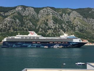 Bjelica Apartments Kotor - Kotor - 4