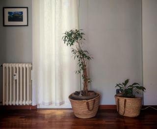 casa Gesi - Roma - 2