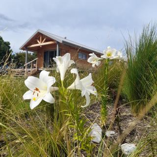 Āporo bach - a country retreat - 0