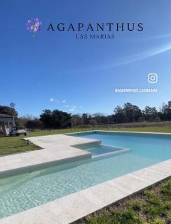Cabañas Agapanthus Las Marias - 8
