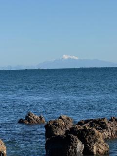 Paiaka Suite - The Perfect Getaway - Lower Hutt - 9