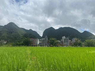 Sông Tranh 402MD - Hanoï - 4