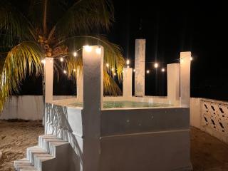 House with Pool, Rooftop, Terrace & Bar, AC - 7