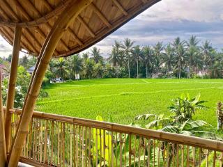 Villa Rani - A Luxury Private Resort At The Gateway To Ubud - 4