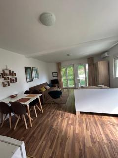 Studio Nik - Cetinje - 4