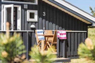 TV1066-Bindslev-Haren-3 - 0