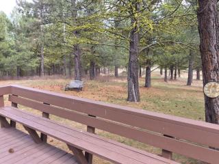 Ponderosa - Peaceful, private cabin on 5 acres by Lake Cascade - 4