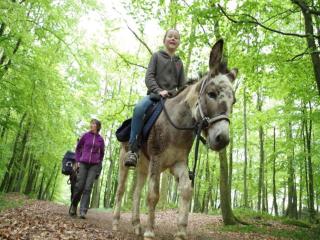 Glamping in Signy-l’Abbaye - Signy-lʼAbbaye - 8
