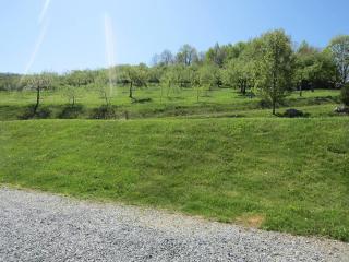 Apple Orchard Duplex #2 With EV Charger - 4