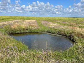 6 person holiday home in Ribe-By Traum - 2