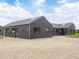 5 star holiday home in Ansager - Ansager - 4