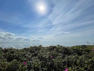 4 person holiday home in Ringkøbing - Ringkøbing - 4