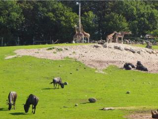 Holiday home in Ebeltoft with roof terrace - 5