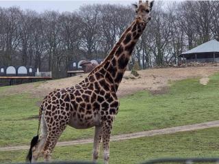 Holiday home in Ebeltoft with roof terrace - 1