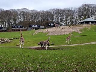 Holiday home in Ebeltoft with roof terrace - 2
